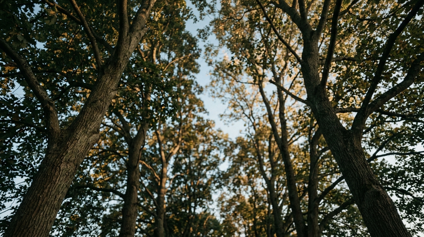 Charles McKuhn Life Coaching: A Trusted Perspective on Purposeful Growth